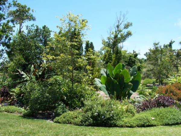 gardens 007