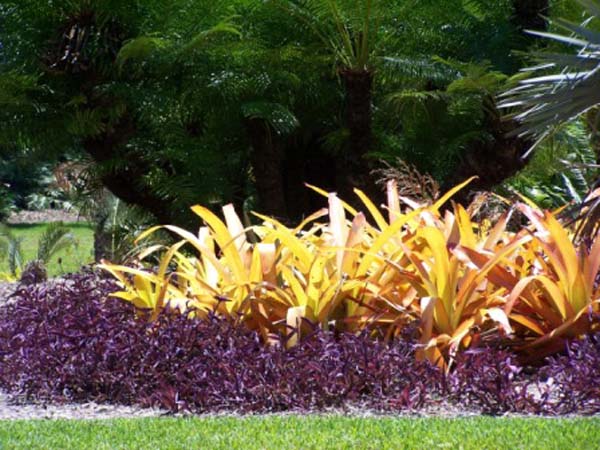 gardens 039